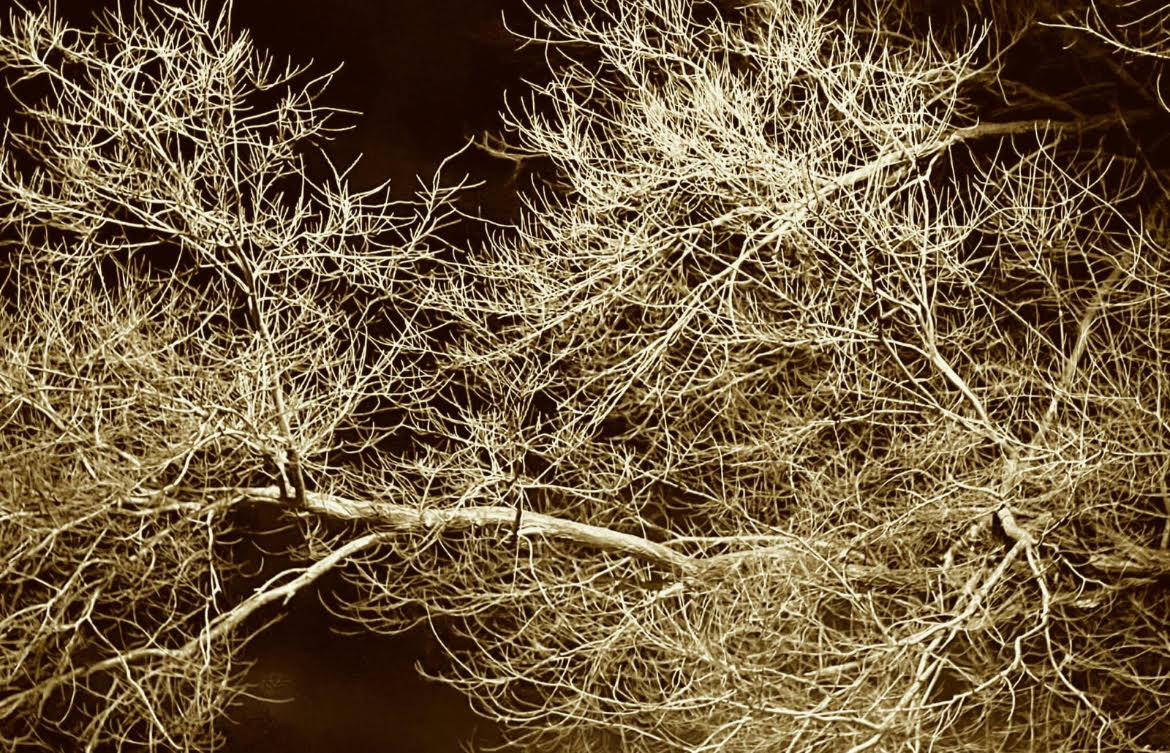 Nature Composition 2