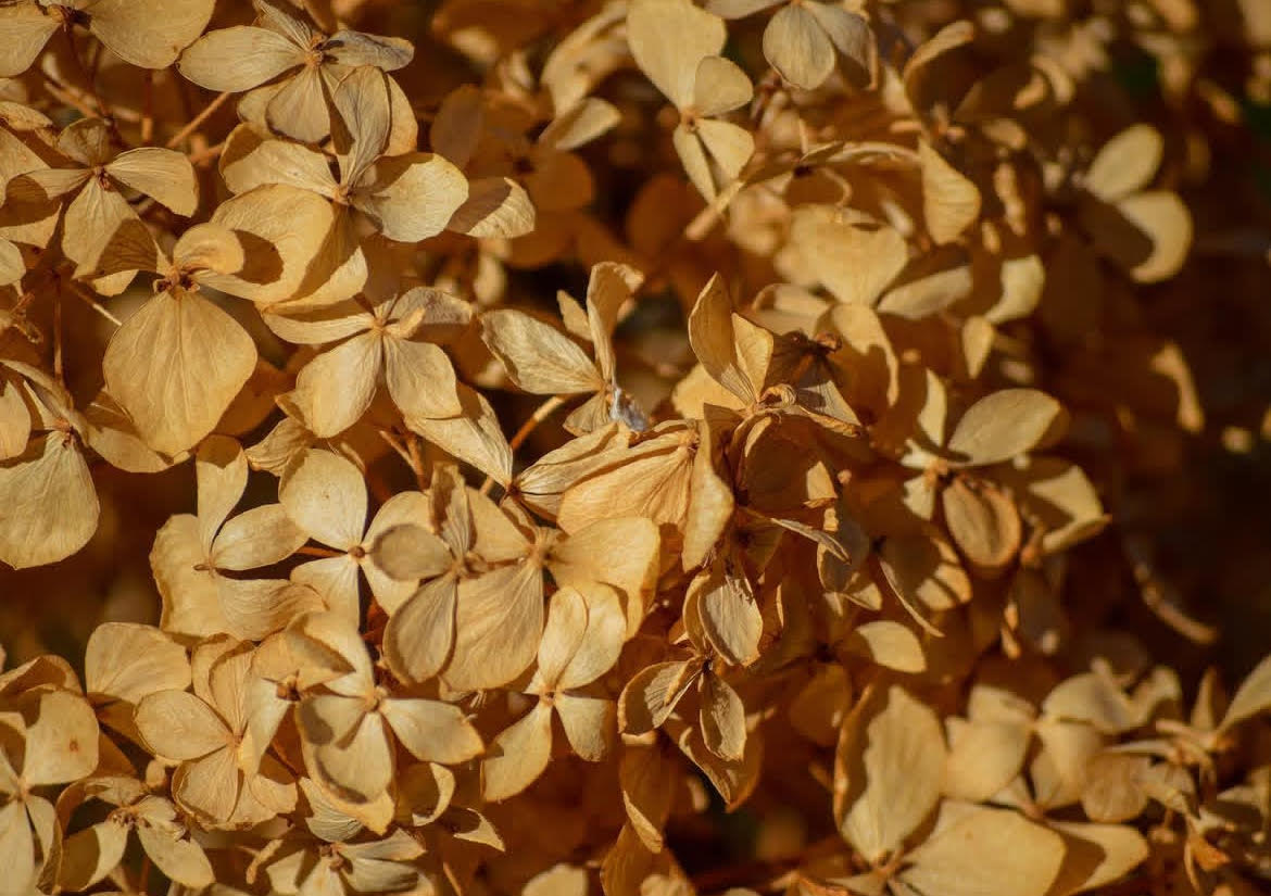 Nature Composition 3